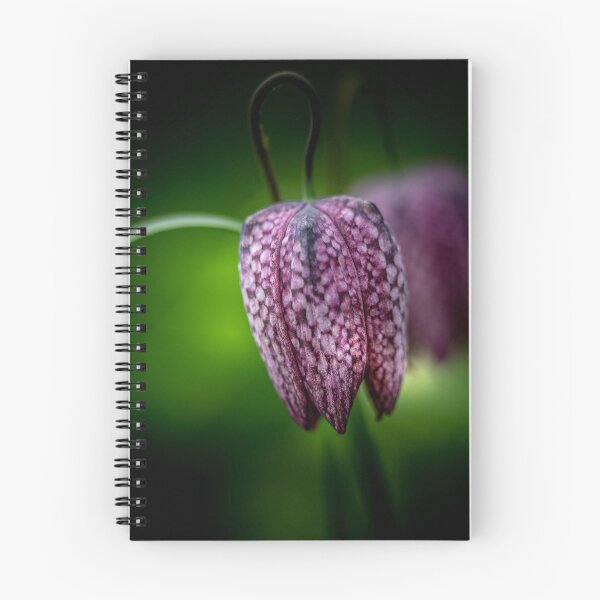 Item preview, Fritillary designed and sold by Mothboybrown.