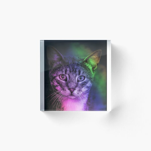 Item preview, Cat looking designed and sold by MGAV-Shop.