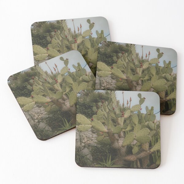 Item preview, Exotic Cacti designed and sold by TatianaNoir.