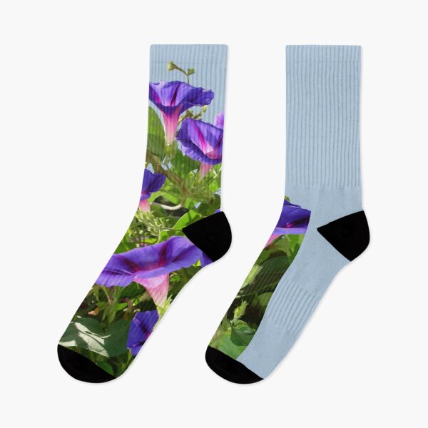 Item preview, Purple Morning Glory Climbing Plant Vector Art Cut Out designed and sold by taiche.