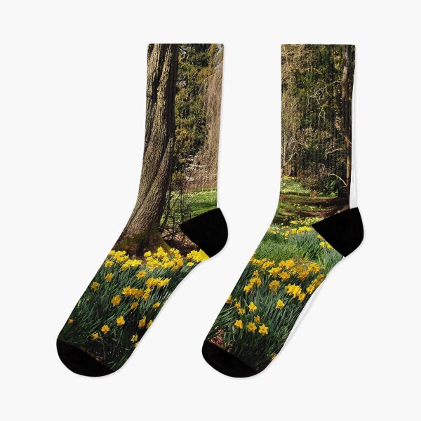 Item preview, Batsford Arboretum Moreton In Marsh Cotswolds UK designed and sold by AndyEvansPhotos.