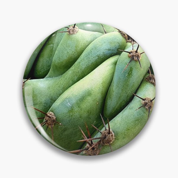 Item preview, Cactus designed and sold by Bluesrose.