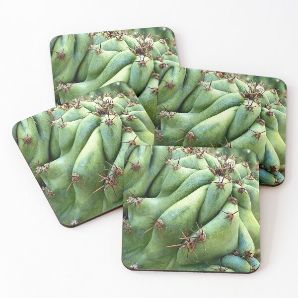 Item preview, Cactus designed and sold by Bluesrose.