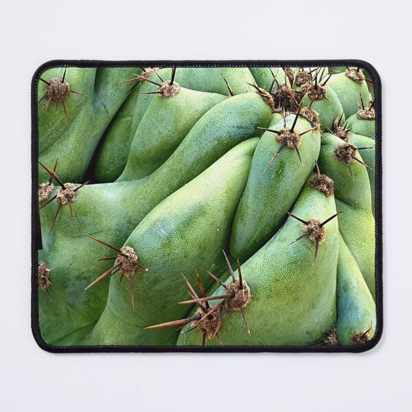 Item preview, Cactus designed and sold by Bluesrose.