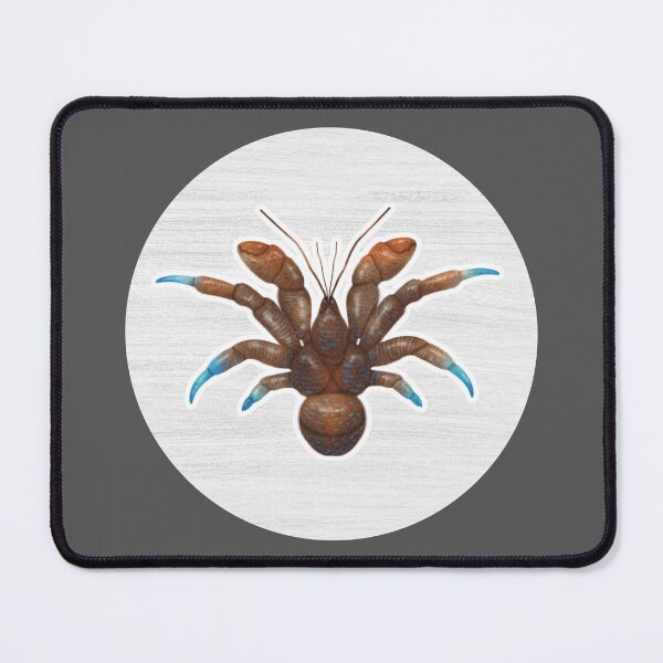 Item preview, Coconut Crab Watercolor Drawing designed and sold by LivingColorful.