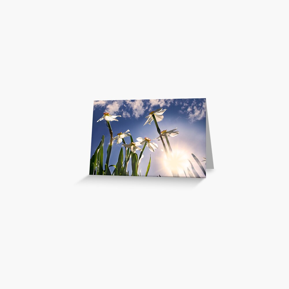 Item preview, Greeting Card designed and sold by believer9.