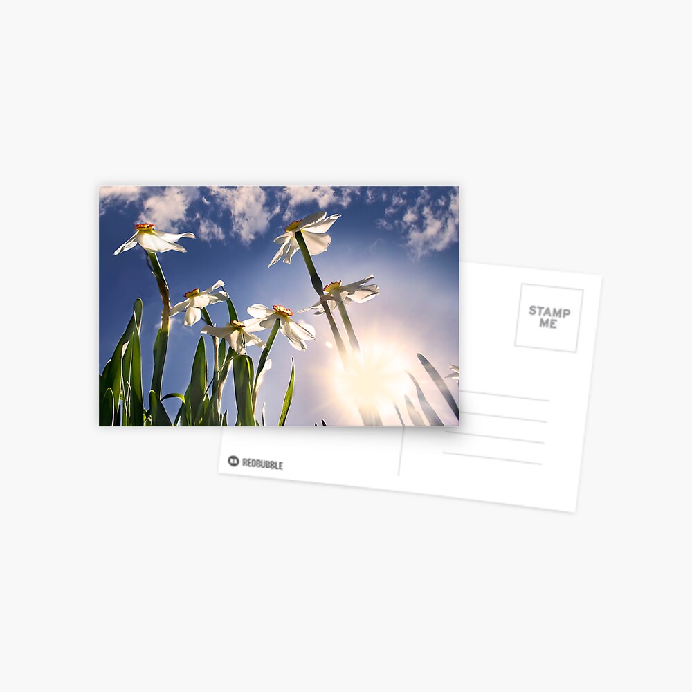 Item preview, Postcard designed and sold by believer9.