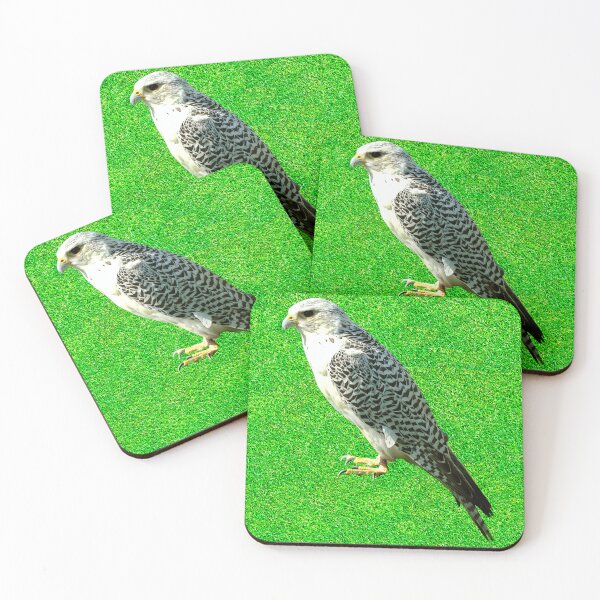 Item preview, Gyrfalcon Latin name Falco rusticolus is the most northerly of all the falcons designed and sold by Peter Etchells.