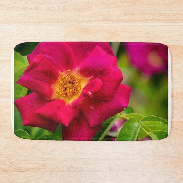 Item preview, rose designed and sold by Erwin G. Kotzab.