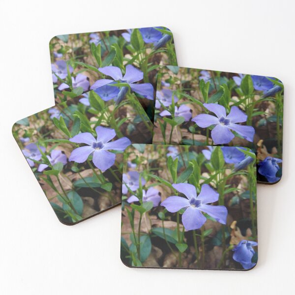 Item preview, Lesser Periwinkle 2 original artwork designed and sold by paragonDesign28.
