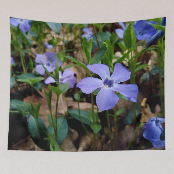 Item preview, Lesser Periwinkle 2 original artwork designed and sold by paragonDesign28.