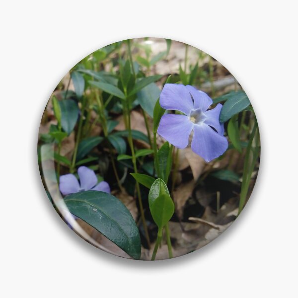 Item preview, Lesser Periwinkle 3 original artwork designed and sold by paragonDesign28.