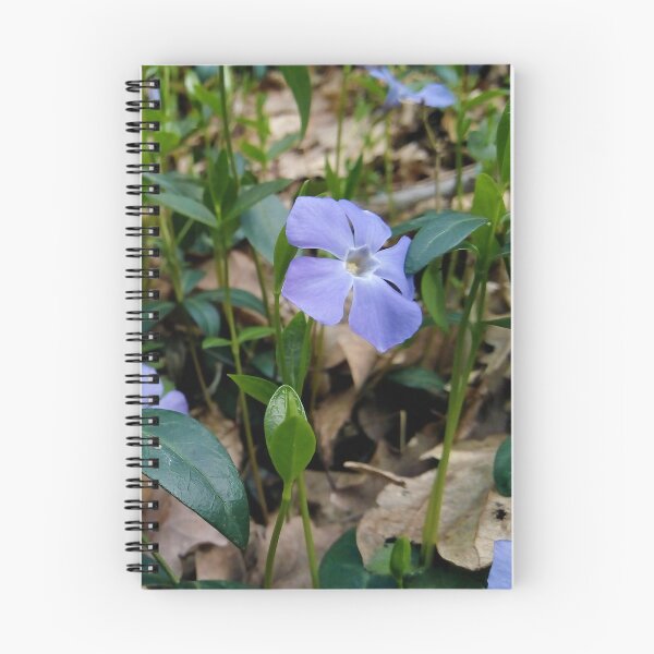 Item preview, Lesser Periwinkle 3 original artwork designed and sold by paragonDesign28.