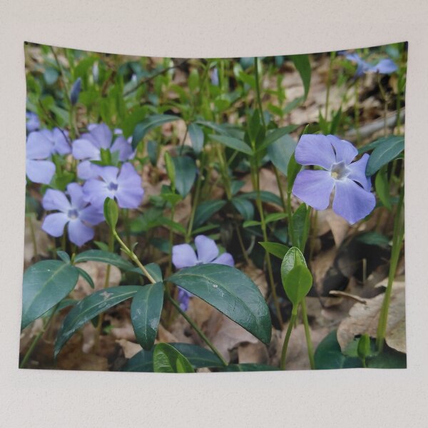 Item preview, Lesser Periwinkle 3 original artwork designed and sold by paragonDesign28.