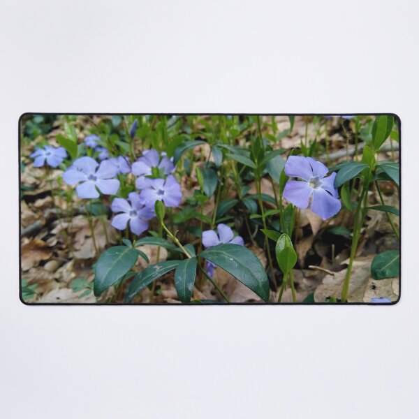 Item preview, Lesser Periwinkle 3 original artwork designed and sold by paragonDesign28.