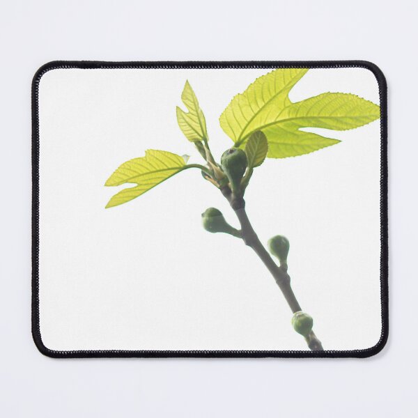 Item preview, Figlets. designed and sold by Paul Pasco.