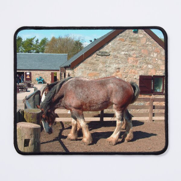 Item preview, Clydesdale designed and sold by tomg.
