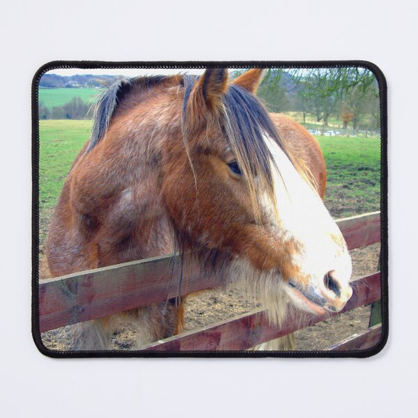 Item preview, Clydesdale II designed and sold by tomg.