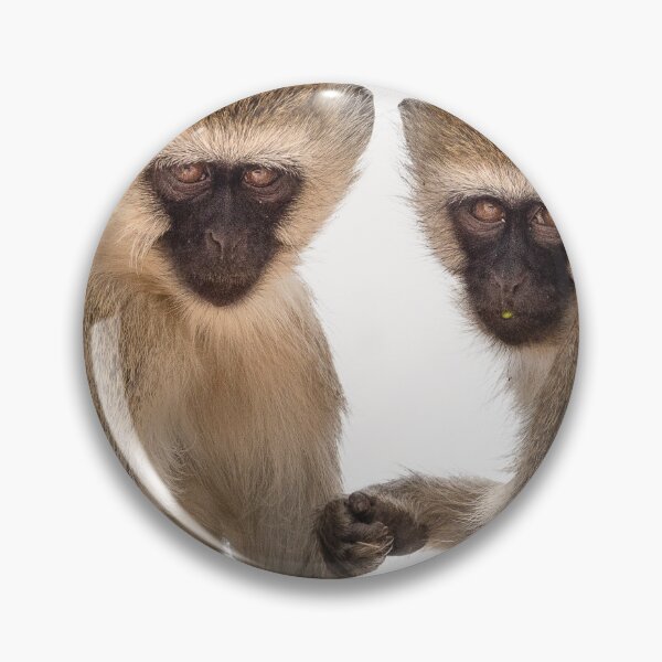 Item preview, Two Vervet Monkeys having a conversation designed and sold by vagabondgal.
