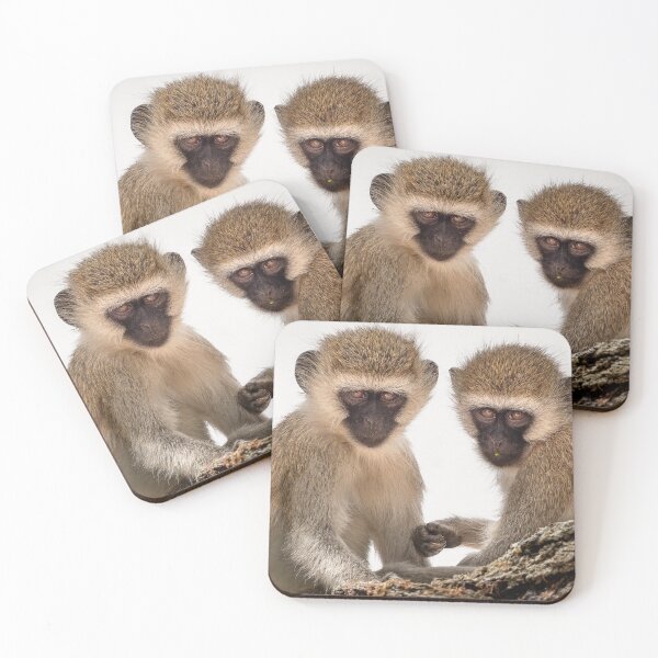 Item preview, Two Vervet Monkeys having a conversation designed and sold by vagabondgal.
