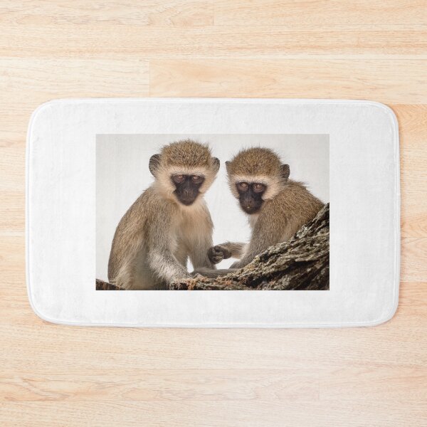 Item preview, Two Vervet Monkeys having a conversation designed and sold by vagabondgal.
