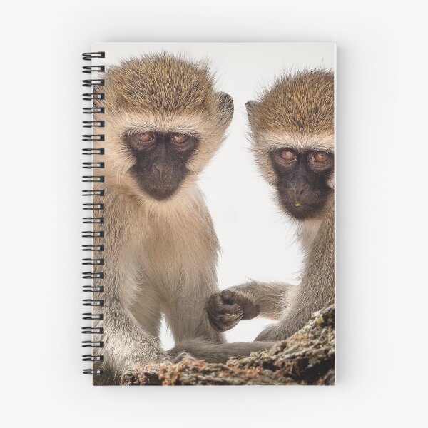 Item preview, Two Vervet Monkeys having a conversation designed and sold by vagabondgal.