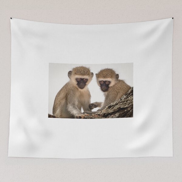 Item preview, Two Vervet Monkeys having a conversation designed and sold by vagabondgal.