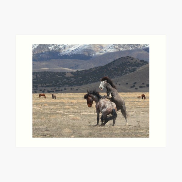 Wildfire Art Print