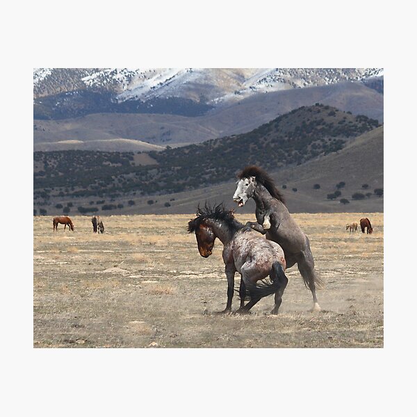 Wildfire Photographic Print