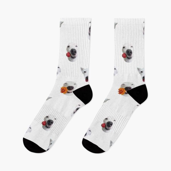 Item preview, Funny shocked white dog face pattern designed and sold by BeebooDesign.
