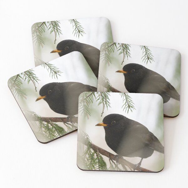 Item preview, Secrets of the branches. Eurasian blackbird designed and sold by Jouko Lehto Photography.