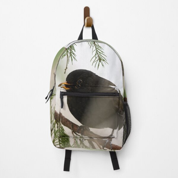 Item preview, Secrets of the branches. Eurasian blackbird designed and sold by Jouko Lehto Photography.
