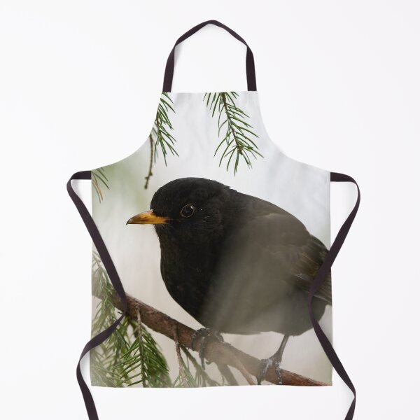Item preview, Secrets of the branches. Eurasian blackbird designed and sold by Jouko Lehto Photography.