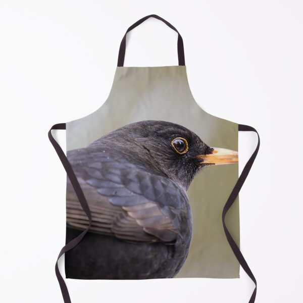Item preview, Profile. Eurasian blackbird designed and sold by Jouko Lehto Photography.