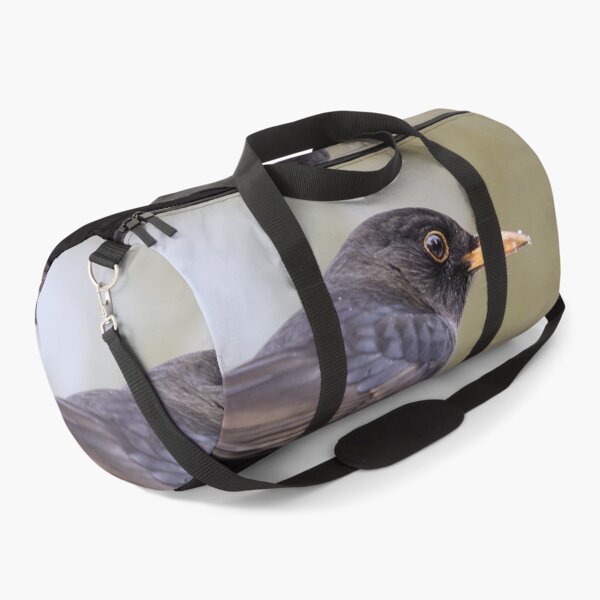 Item preview, Profile. Eurasian blackbird designed and sold by Jouko Lehto Photography.