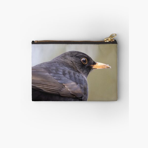 Item preview, Profile. Eurasian blackbird designed and sold by Jouko Lehto Photography.