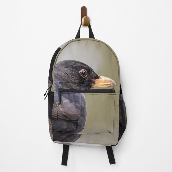 Item preview, Profile. Eurasian blackbird designed and sold by Jouko Lehto Photography.