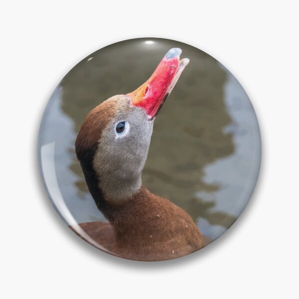 Item preview, Whistling Duck Whistling A Tune designed and sold by Debra Martz.