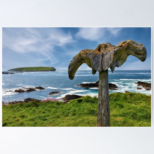 Item preview, Skipi Geo Whales Head Orkney Scotland designed and sold by PhotosEcosse.