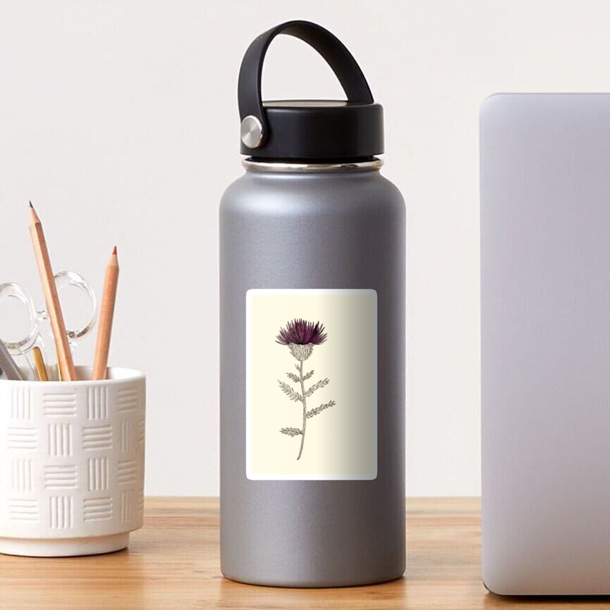 Cardoon Sticker