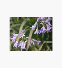 tiny flowers Art Board