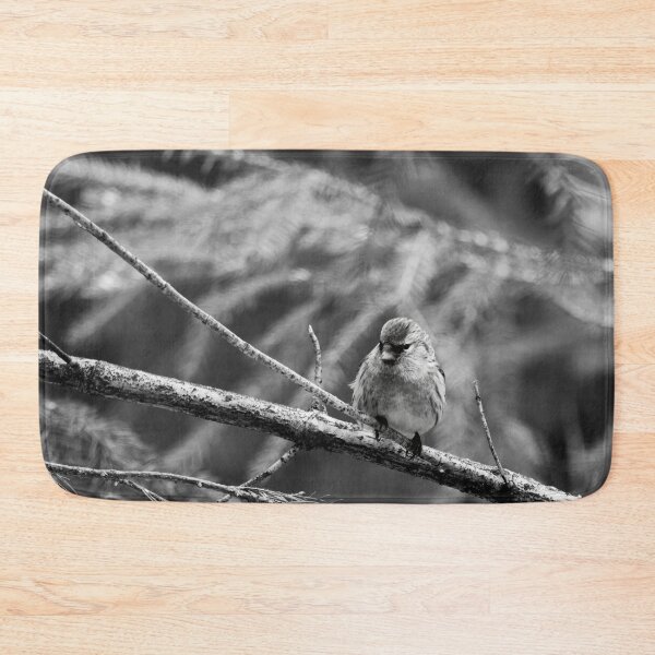Item preview, In the sprucw. Mealy redpoll bw designed and sold by Jouko Lehto Photography.