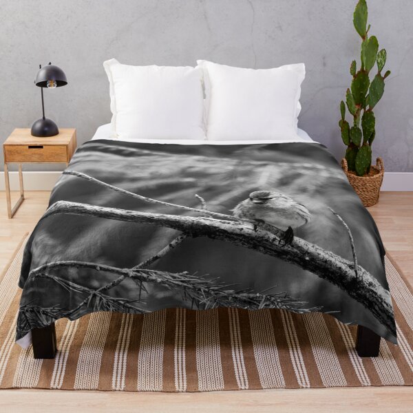 Item preview, In the sprucw. Mealy redpoll bw designed and sold by Jouko Lehto Photography.