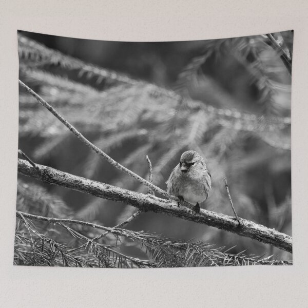 Item preview, In the sprucw. Mealy redpoll bw designed and sold by Jouko Lehto Photography.