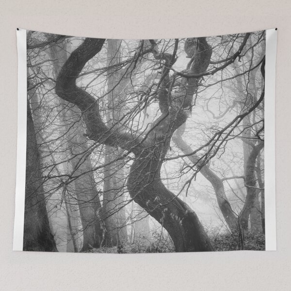 Item preview, Foggy Exuberance designed and sold by ShinyPhoto.