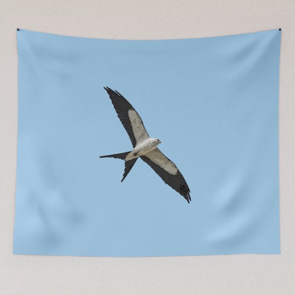 Item preview, Swallow-Tailed Kite Color Design  designed and sold by designsasstultd.