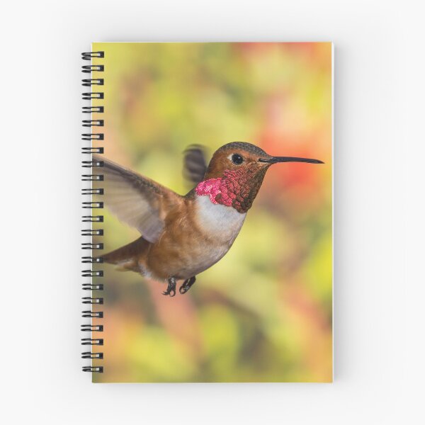 Item preview, Handsome designed and sold by MCHerdering Photography.