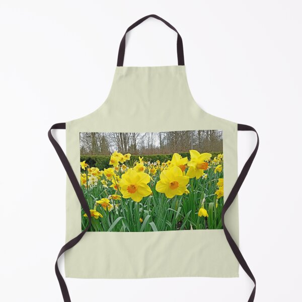 Item preview, Springtime Daffodils, Kingston Lacy, March 2024 designed and sold by RedHillDigital.