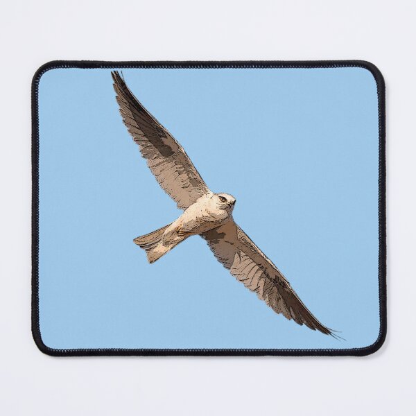 Item preview, White Tailed Kite Color Design  designed and sold by designsasstultd.