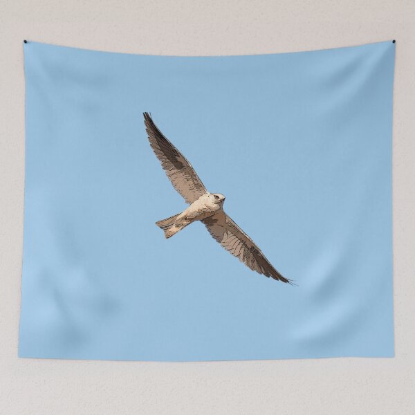 Item preview, White Tailed Kite Color Design  designed and sold by designsasstultd.